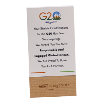 G 20